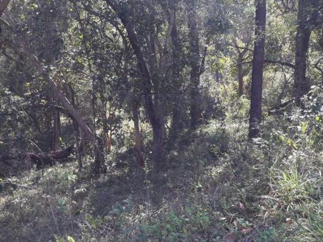 Terreno para venda em Condomínio Voturuna de 5051.00m²
