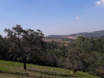Terreno para venda em Condomínio Voturuna de 5084.00m²
