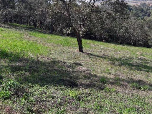 Terreno para venda em Condomínio Voturuna de 5084.00m²