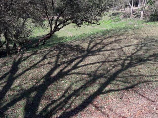 Terreno para venda em Condomínio Voturuna de 5538.00m²