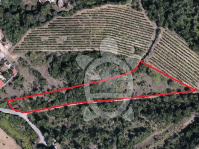 Terreno para venda em Condeixa