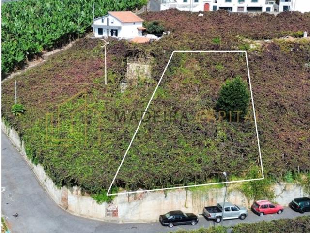 TERRENO PARA VENDA EM CÂMARA DE LOBOS