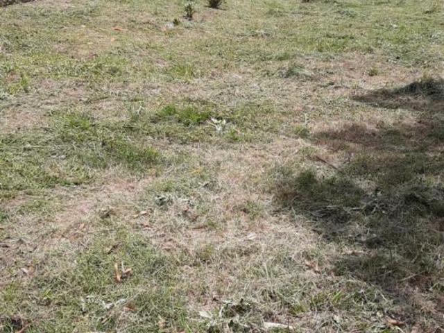 Terreno para venda em Céu Azul, Belo Horizonte