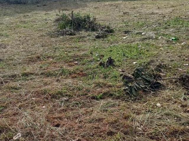 Terreno para venda em Centro, Matozinhos