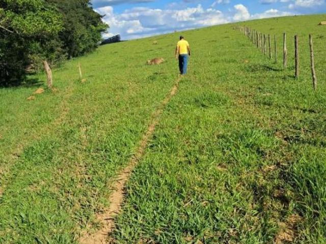 Terreno para venda em Centro, Oliveira