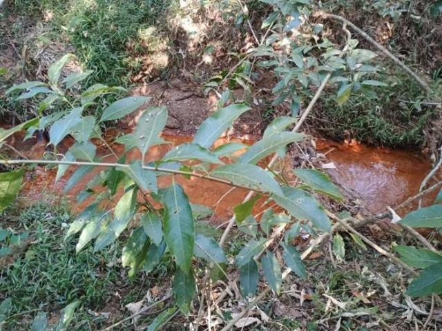 Terreno para venda em Centro, Oliveira