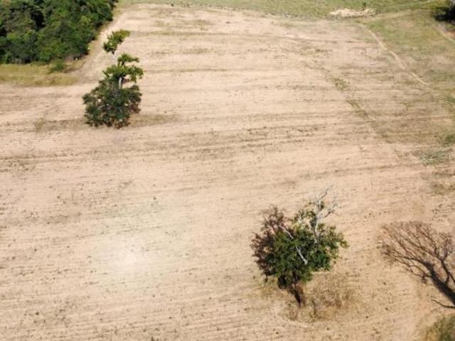 Terreno para venda em Centro, Oliveira