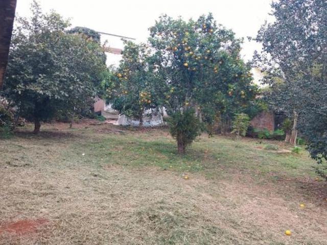 Terreno para venda em Centro, Borda da Mata