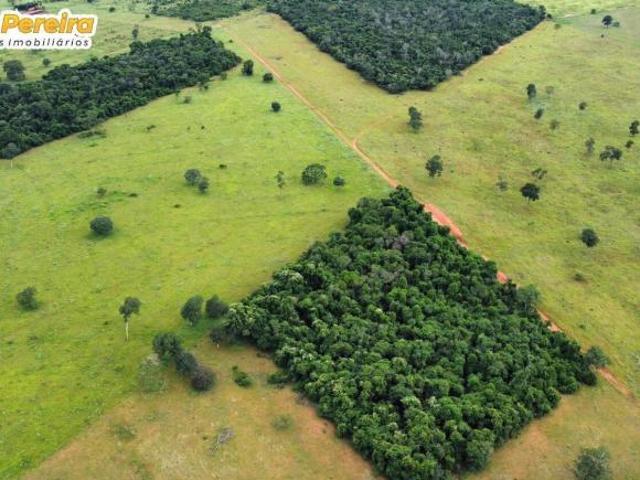 Terreno para venda em Centro, Caçu