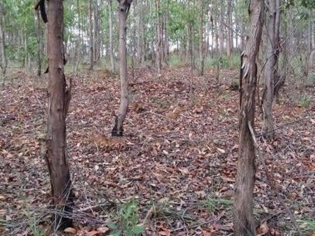 Terreno para venda em Centro, Caetanópolis