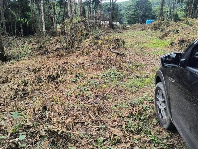 Terreno para venda em Centro, Caeté