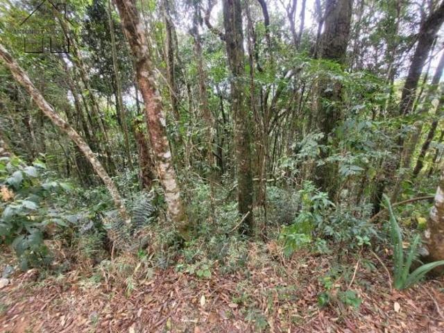 Terreno para venda em Centro, Camanducaia