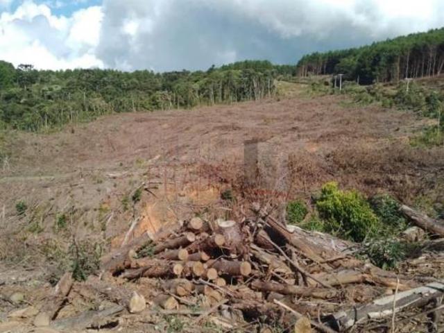 Terreno para venda em Centro, Camanducaia