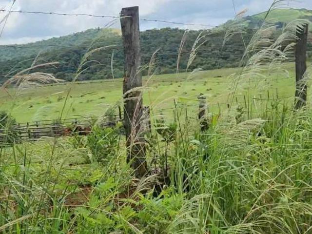 Terreno para venda em Centro, Campanha