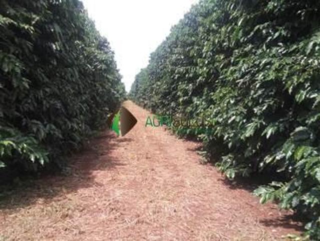 Terreno para venda em Centro, Campestre