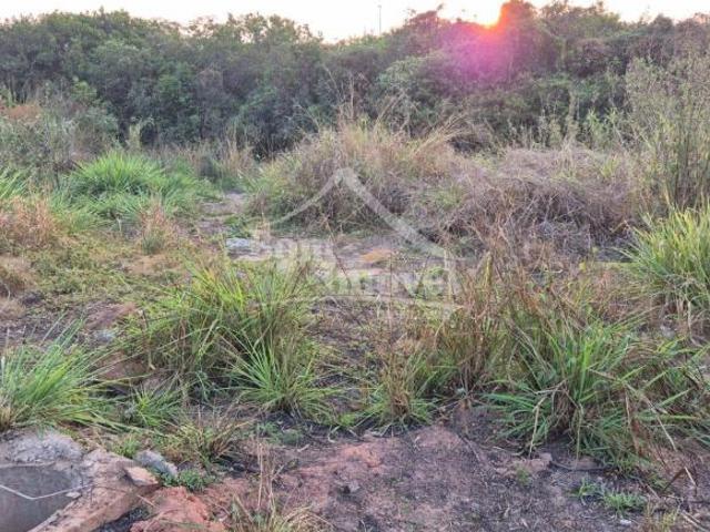 Terreno para venda em Centro, Campo Belo