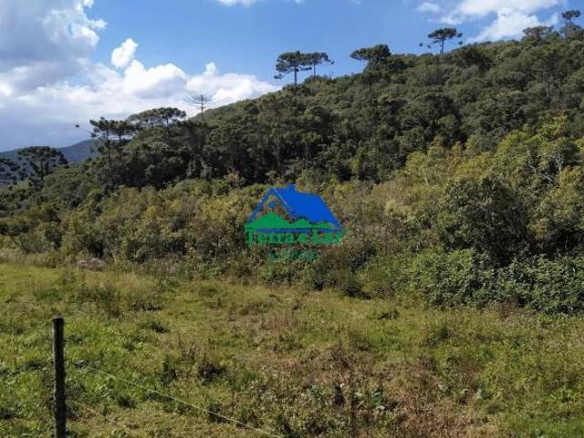 Terreno para venda em Centro, Carvalhos