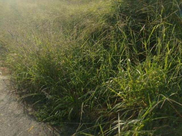 Terreno para venda em Centro, Cláudio