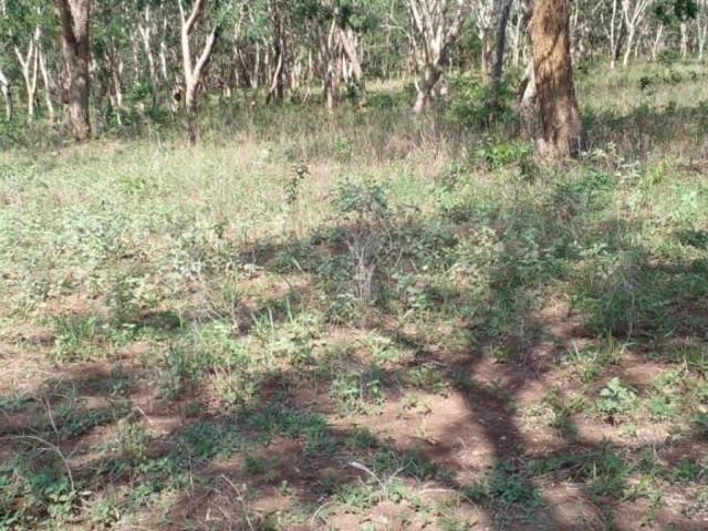 Terreno para venda em Centro, Cláudio