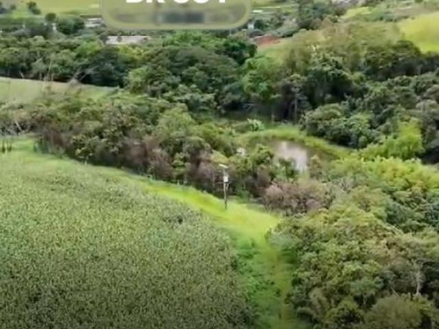 Terreno para venda em Centro, Estiva
