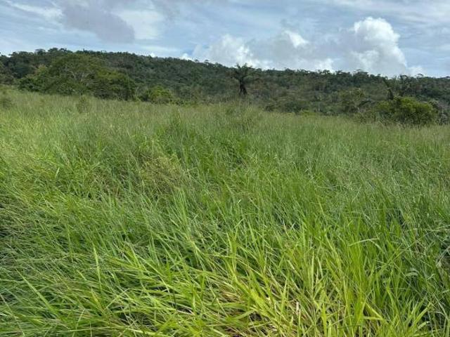 Terreno para venda em Centro, Guarantã do Norte