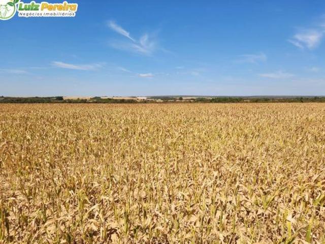 Terreno para venda em Centro, Gaúcha do Norte