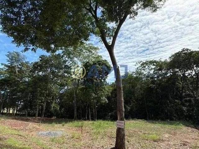 Terreno para venda em Centro, Hidrolândia