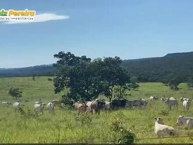 Terreno para venda em Centro, Itiquira