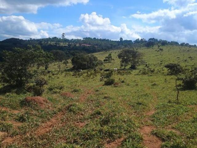 Terreno para venda em Centro, Passa Tempo