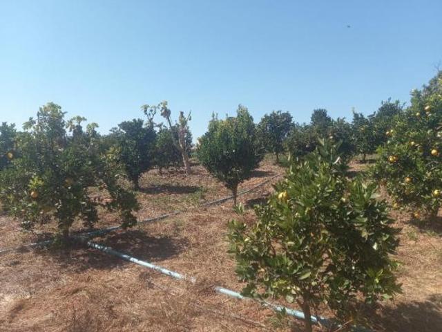 Terreno para venda em Centro, Passa Tempo