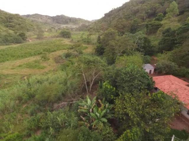 Terreno para venda em Centro, Peçanha