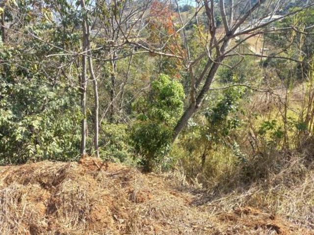 Terreno para venda em Centro, São José da Lapa