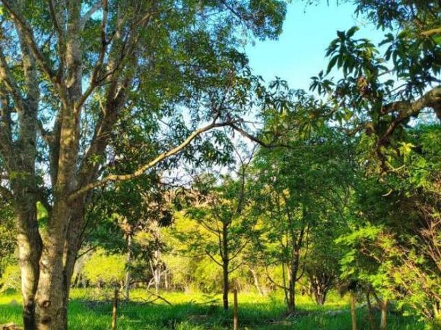 Terreno para venda em Centro, São Sebastião do Oeste