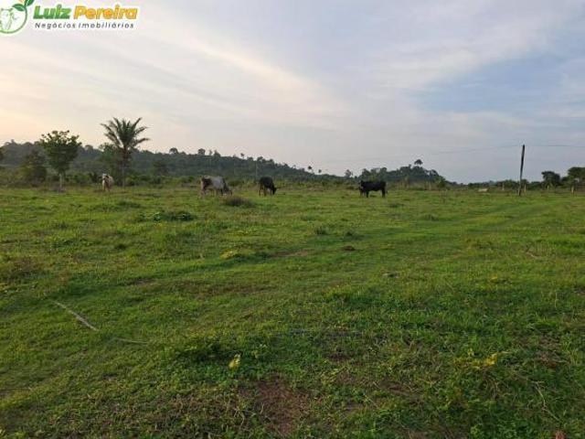 Terreno para venda em Centro, São Sebastião do Pontal