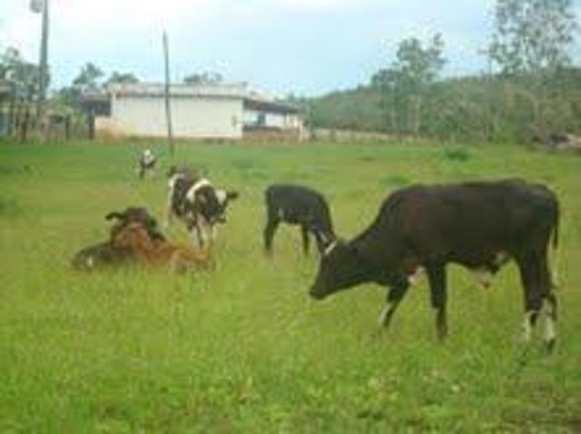 Terreno para venda em Centro, Santana de Pirapama