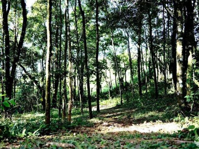 Terreno para venda em Centro, Sapucaí Mirim