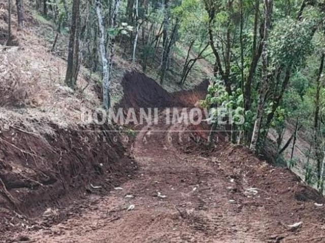 Terreno para venda em Centro, Sapucaí Mirim