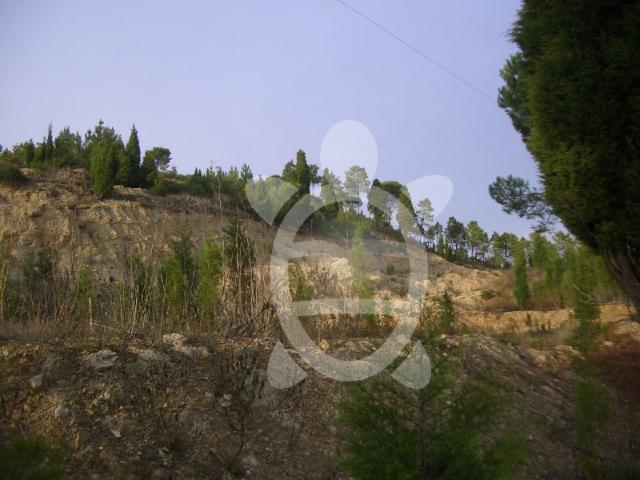 Terreno para venda em Cernache, Coimbra