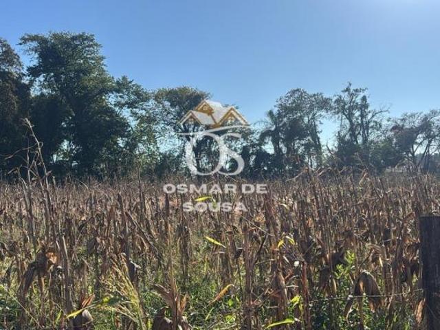Terreno para Venda em Cesário Lange, Rural