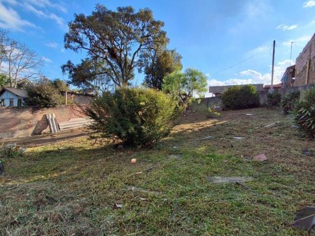Terreno para venda em Cic de 432.00m²