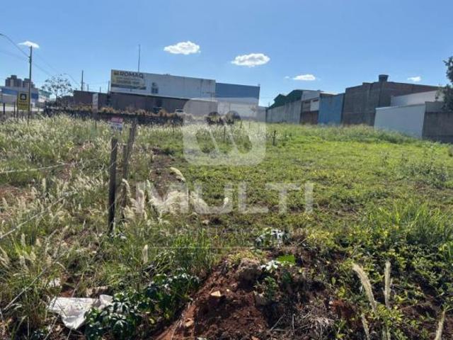 Terreno para venda em Custódio Pereira, Uberlândia