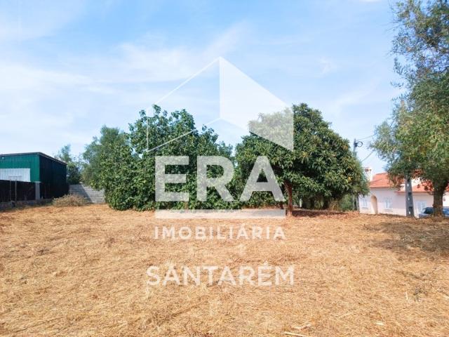 Terreno para venda em Alcanhões 1.000m²