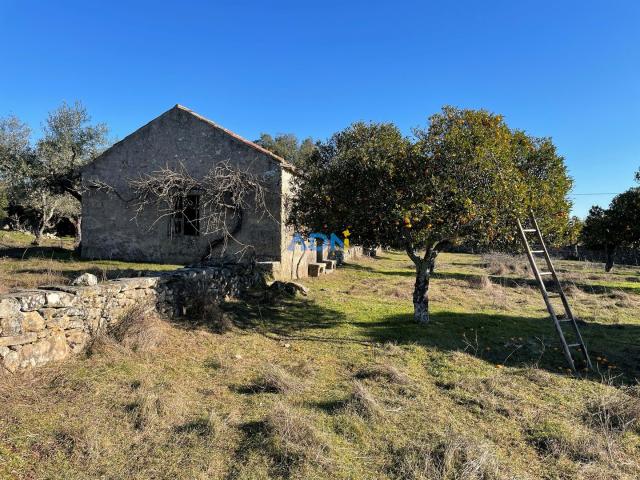 Terreno para venda em Alcains