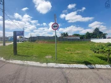 Terreno para venda em Além Ponte de 491.17m²