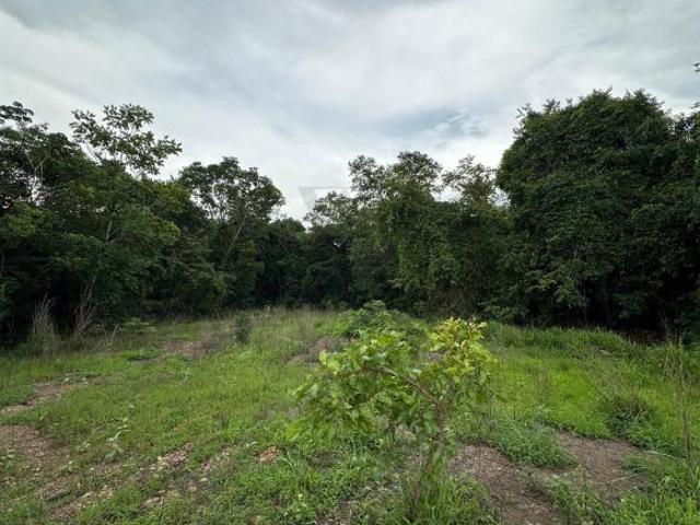 Terreno para venda em Área Rural de Goianésia, Goianésia