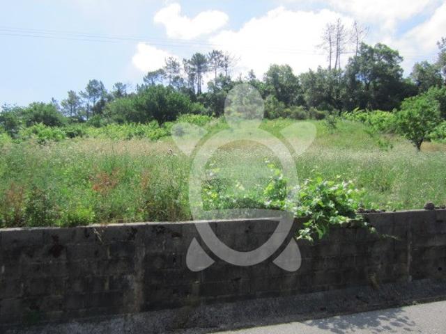 Terreno para venda em Assafarge, Coimbra