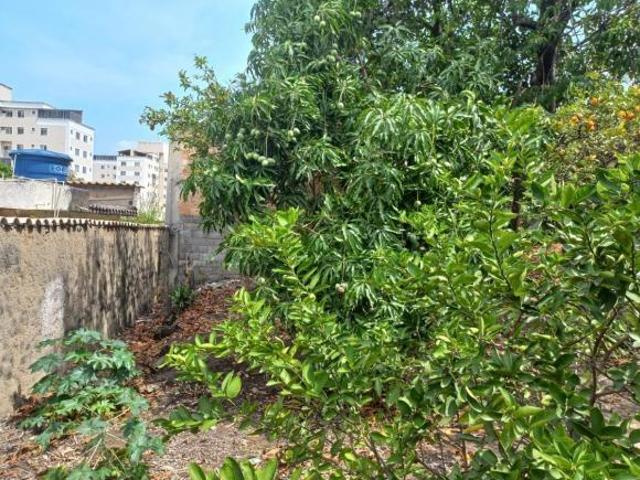 Terreno para venda em Bom Retiro de 360.00m²