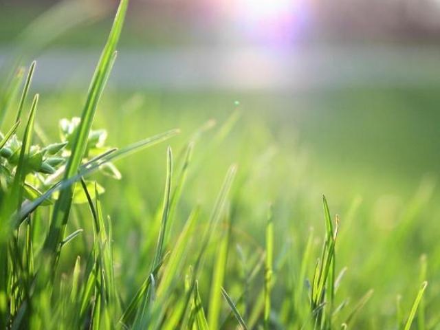 Terreno para venda em Bandeirantes, Esmeraldas