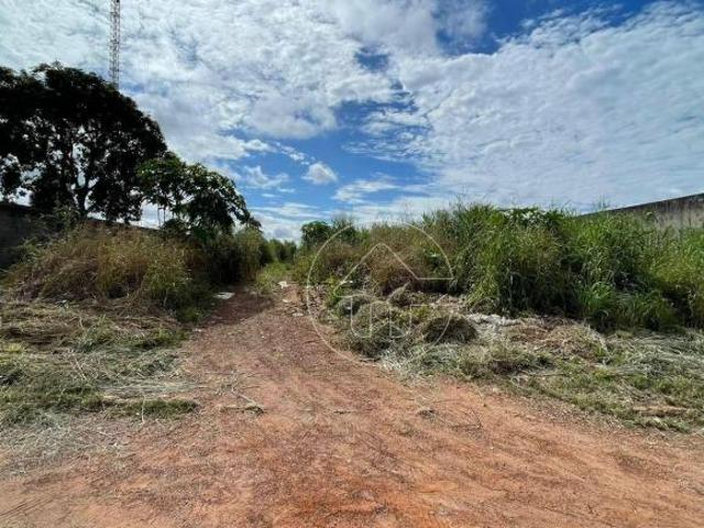 Terreno para venda em Barra do Garças