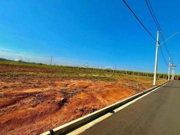 Terreno para venda em Bela Vida de 176.00m²